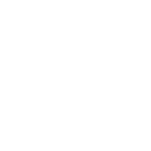Lane Bryant